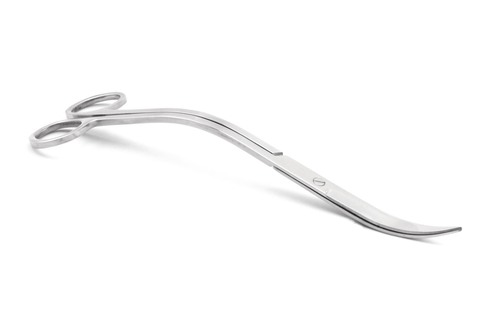 Ein Foto zeigt Welle Aquarium Schere